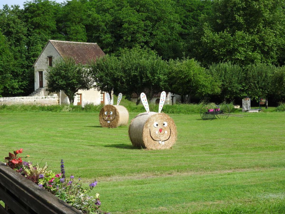 Le Paradis Des Caves Holiday home Chateauvieux (Loir-et-Cher)